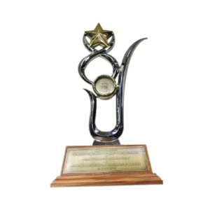 Premium Wooden Award Trophy Elegant Corporate & Event Recognition Trophy