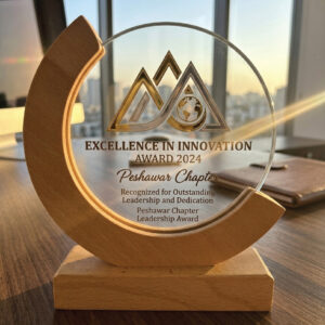 Premium Circular Acrylic and Wood Trophy - Excellence in Innovation Corporate Award
