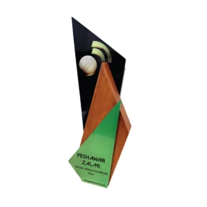 Premium Wooden Award Trophy Elegant Corporate & Event Recognition Trophy