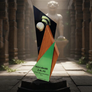 Modern Geometric Cricket Excellence Award – Premium Wood & Multi-Tone Acrylic Trophy